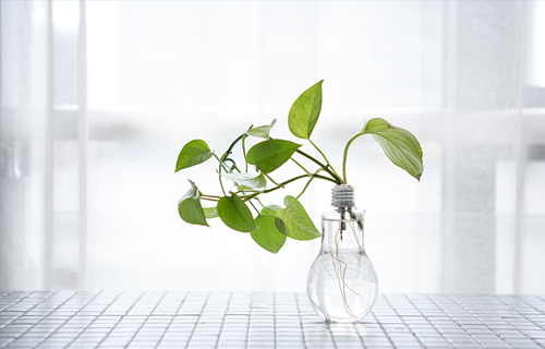 黄瓜视频
专家教你如何做情绪的主人