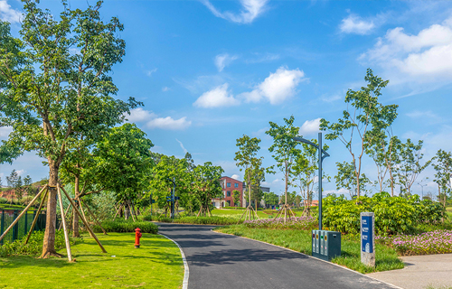 记住这6点，get抑郁障碍患者的日常护理