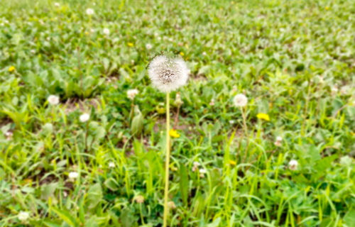 帕金森≠阿尔茨海默病，或许大多数人都不知道