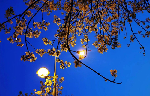 为啥醒来就暴躁？“起床气”的病根儿找到了