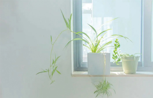 心灵驿站 | 春风化雨，蜗牛慢行：与孩子共度的美好时光