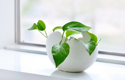 心灵驿站 | 余生很漫长，有话好好说~